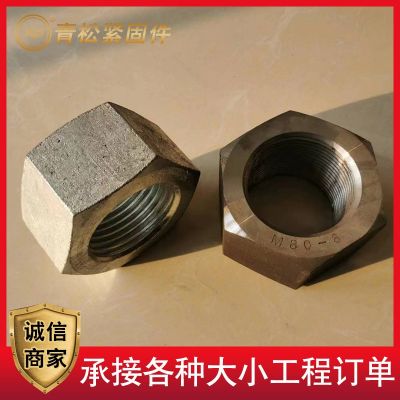 特大螺母高強度氧化發黑細牙反牙六角螺母鍍鋅加大防松螺母異型件